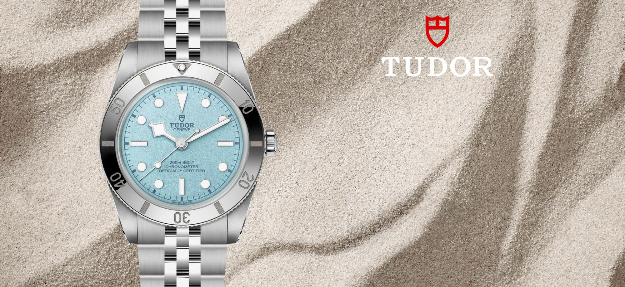 La collezione Tudor